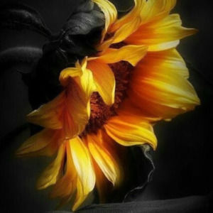 Meet your Posher, Mary lou